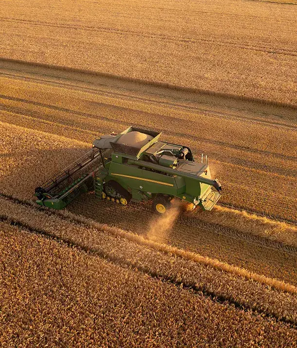 Combine harvester working a grain field