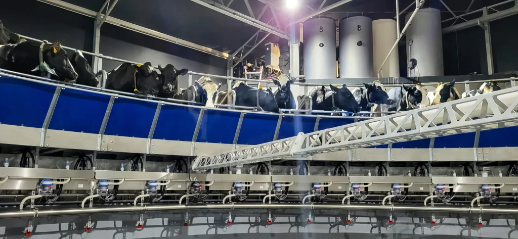 Rotary milking parlour