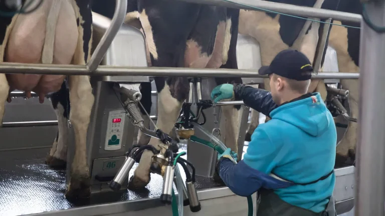 Milking equipment